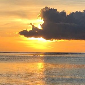 Meet your Posher, Celia